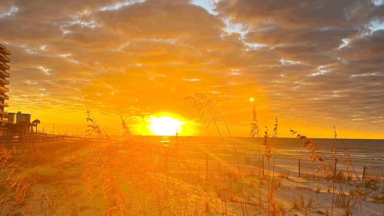 Photo of Others in Orange Beach East
