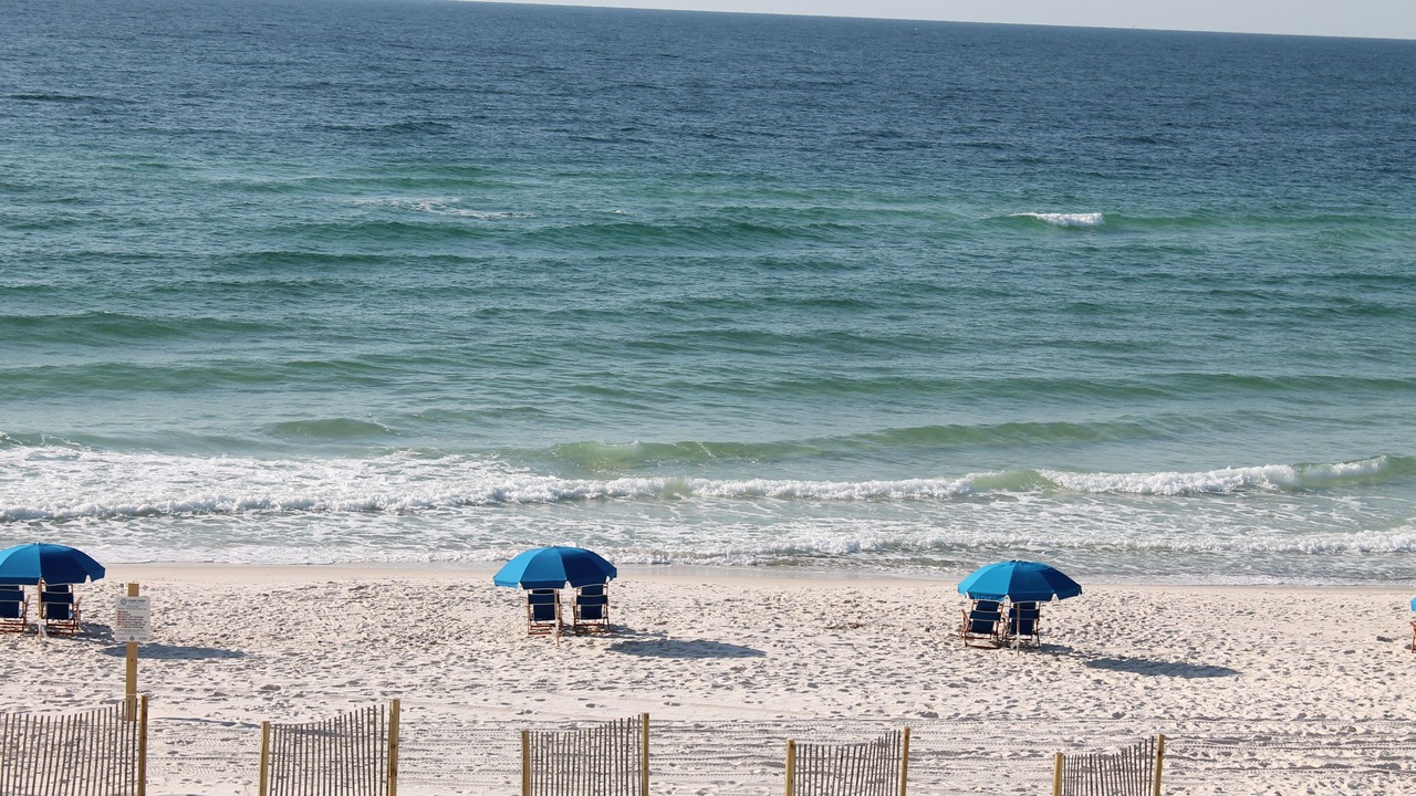 Photo of Others in Orange Beach East