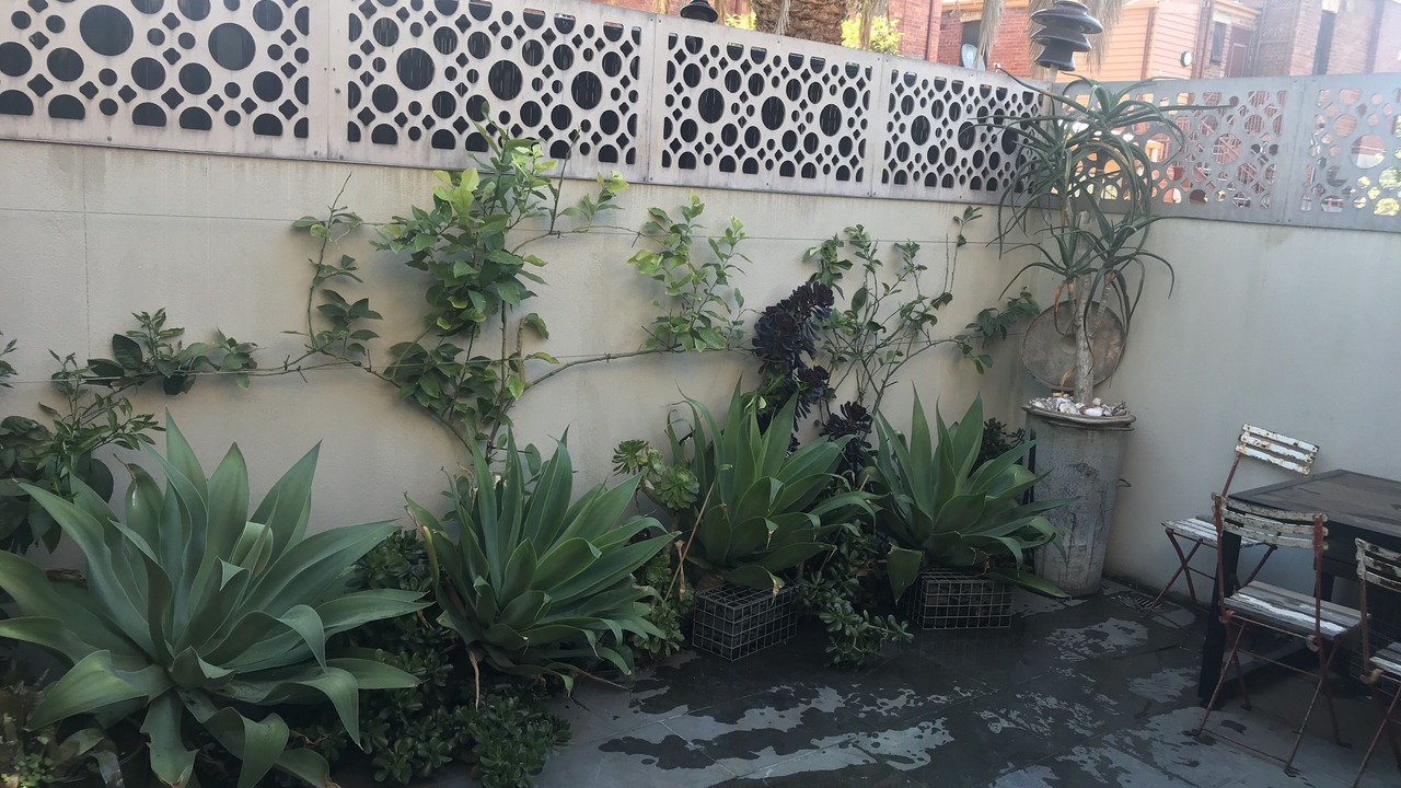 Photo of Patio Balcony in South Melbourne