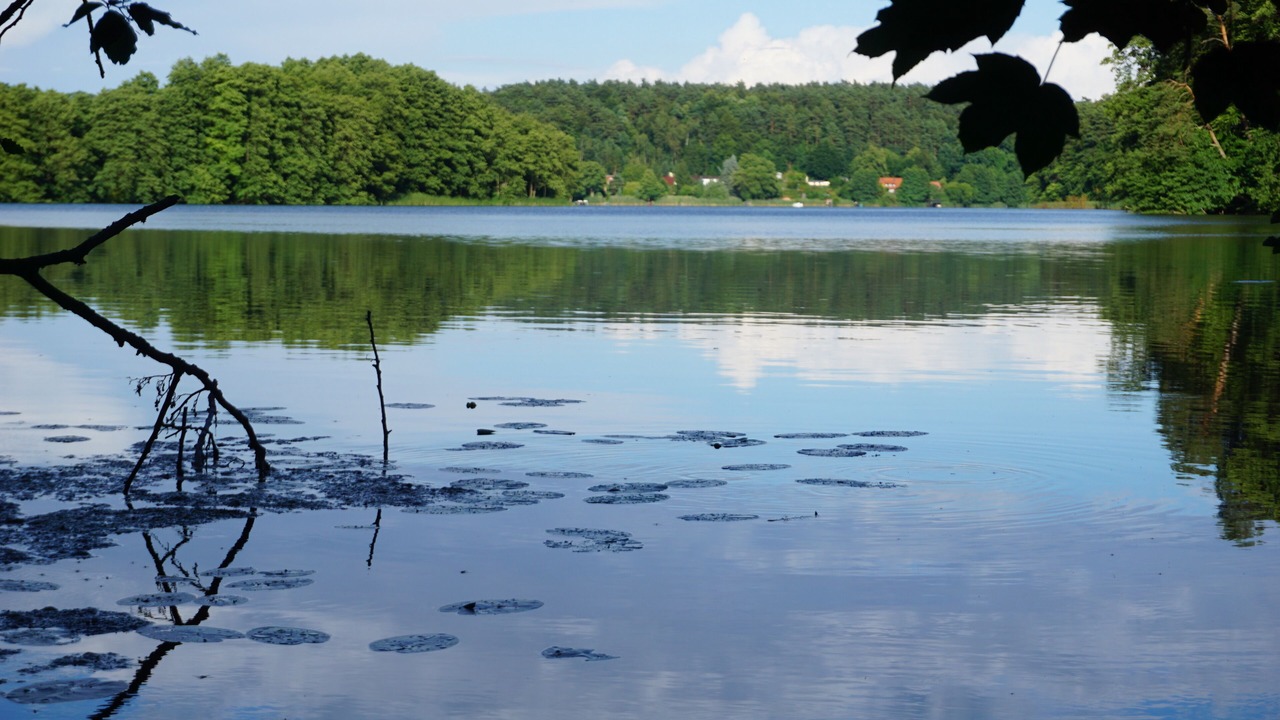 Photo of Outdoor in Neuruppin