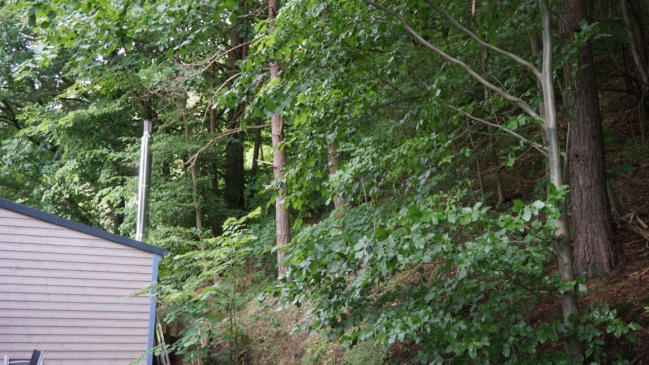Photo of Outdoor in Neuruppin