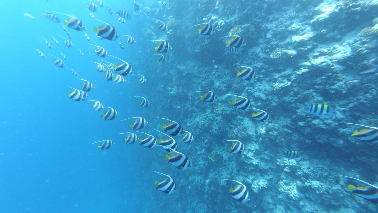 Photo of Outdoor in Hangnaameedhoo