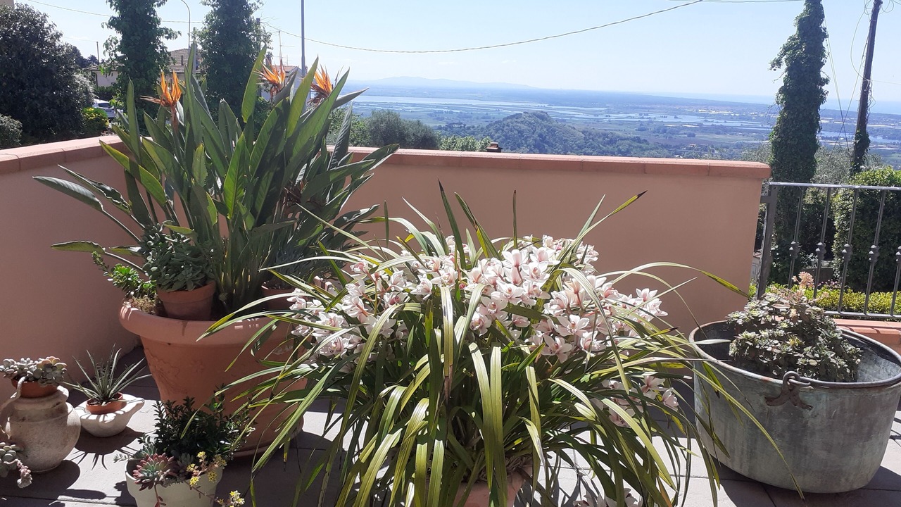 Photo of Outdoor in Corsanico-Bargecchia