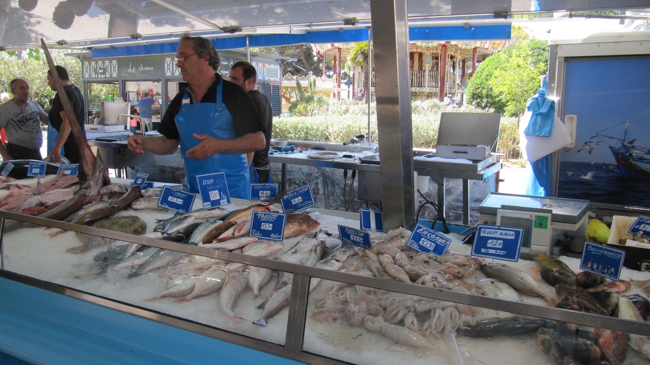 Photo of Outdoor in Sanary-sur-Mer