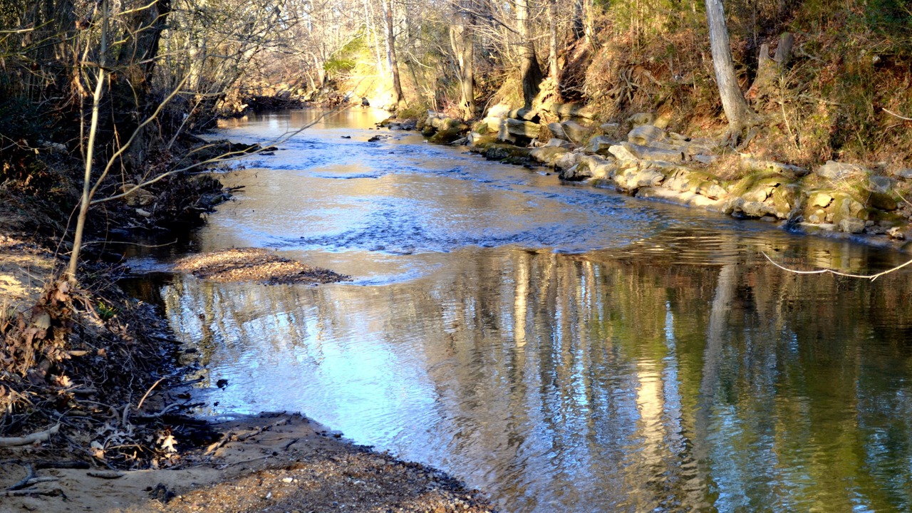 Photo of Others in Chickamauga