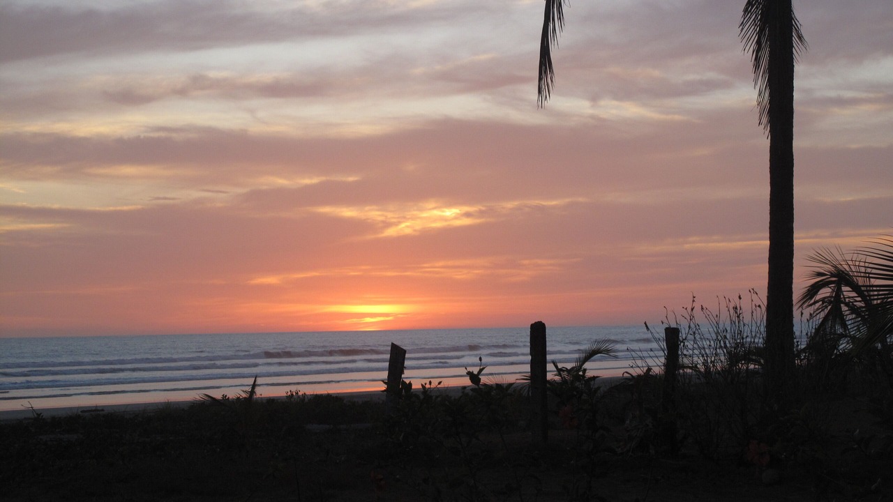 Photo of Others in Javilla