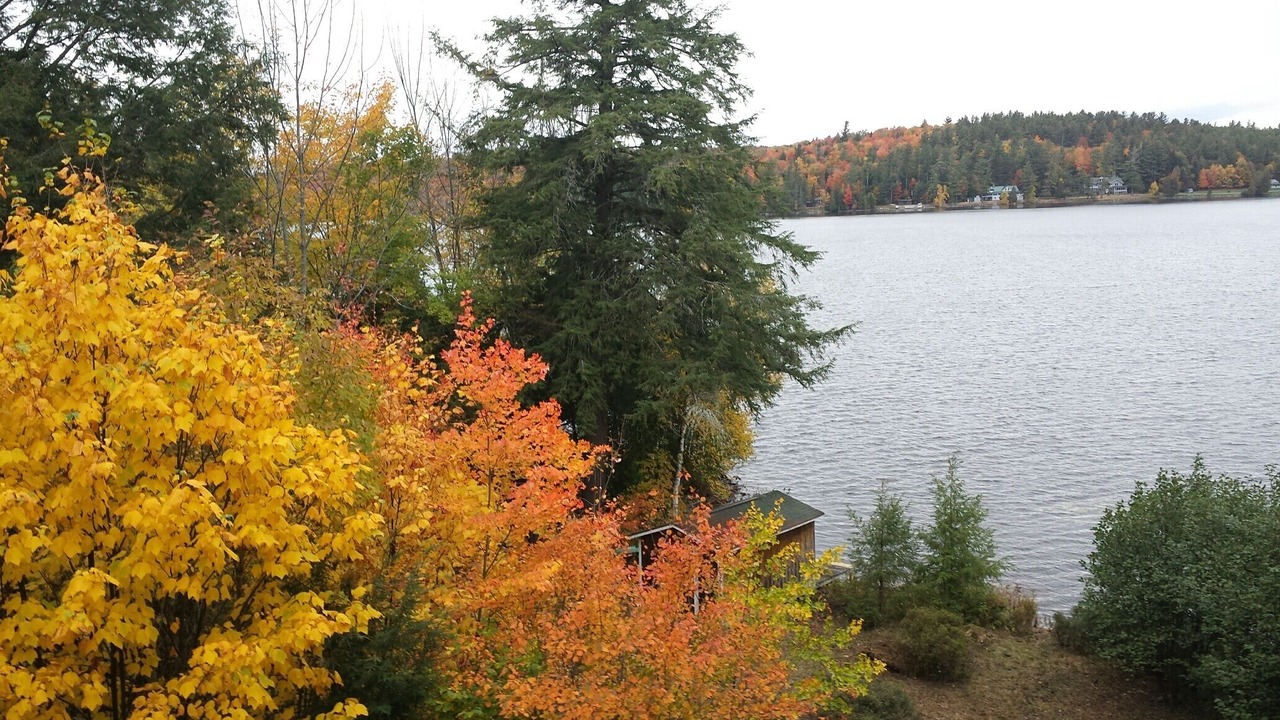 Photo of Outdoor in Saranac Lake