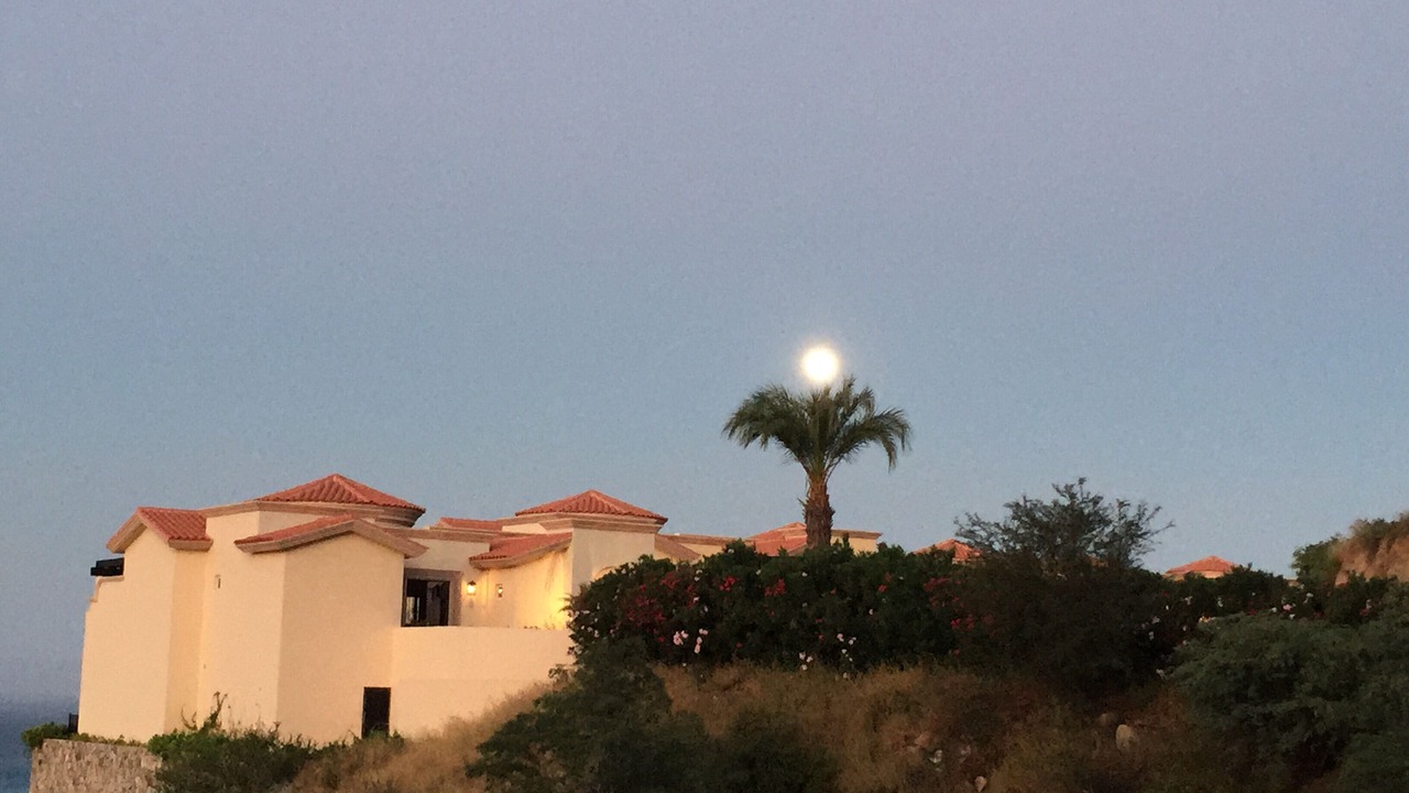 Photo of Others in Pedregal