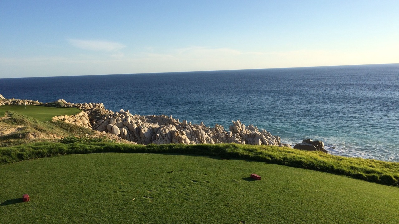 Photo of Others in Pedregal
