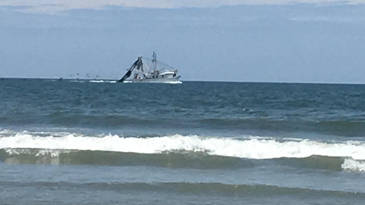 Photo of Others in Folly Beach