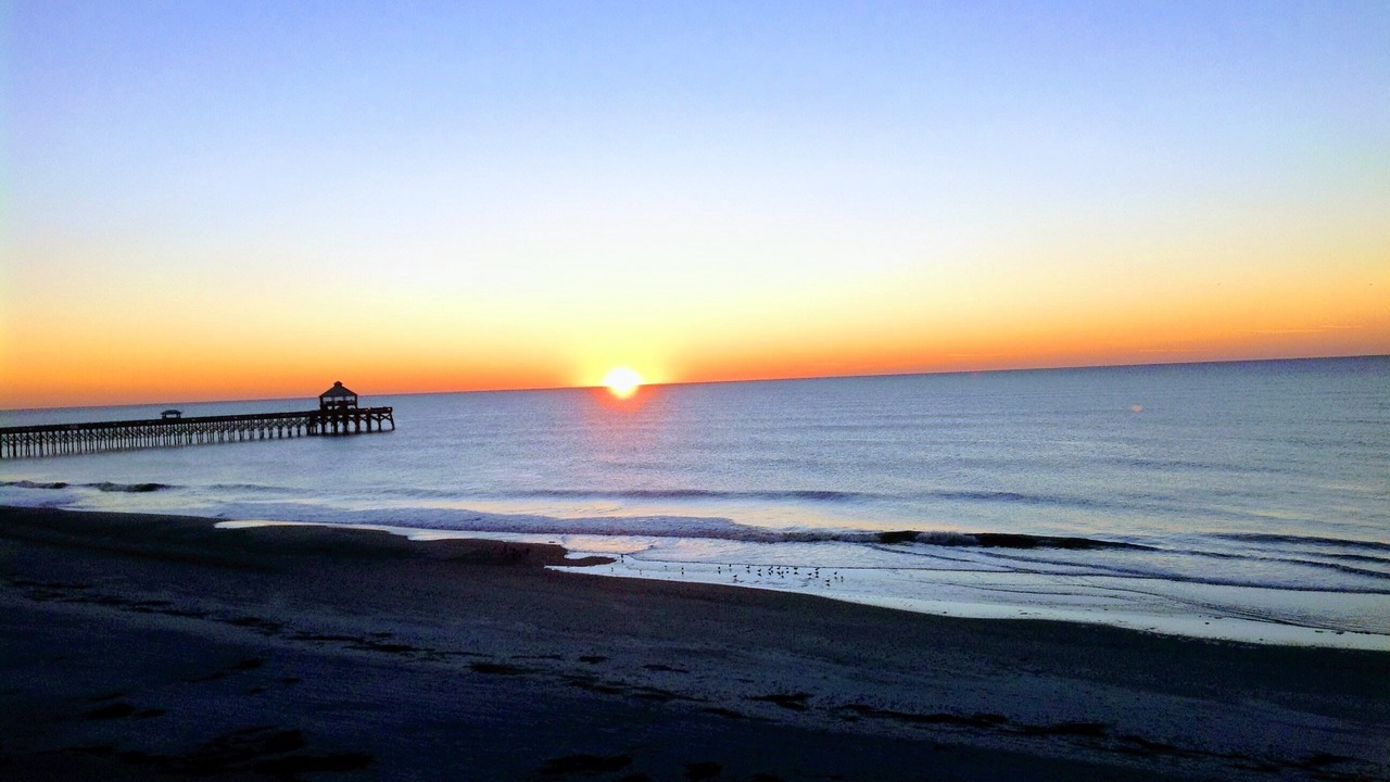 Photo of Others in Folly Beach