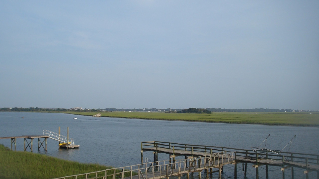 Photo of Others in Folly Beach