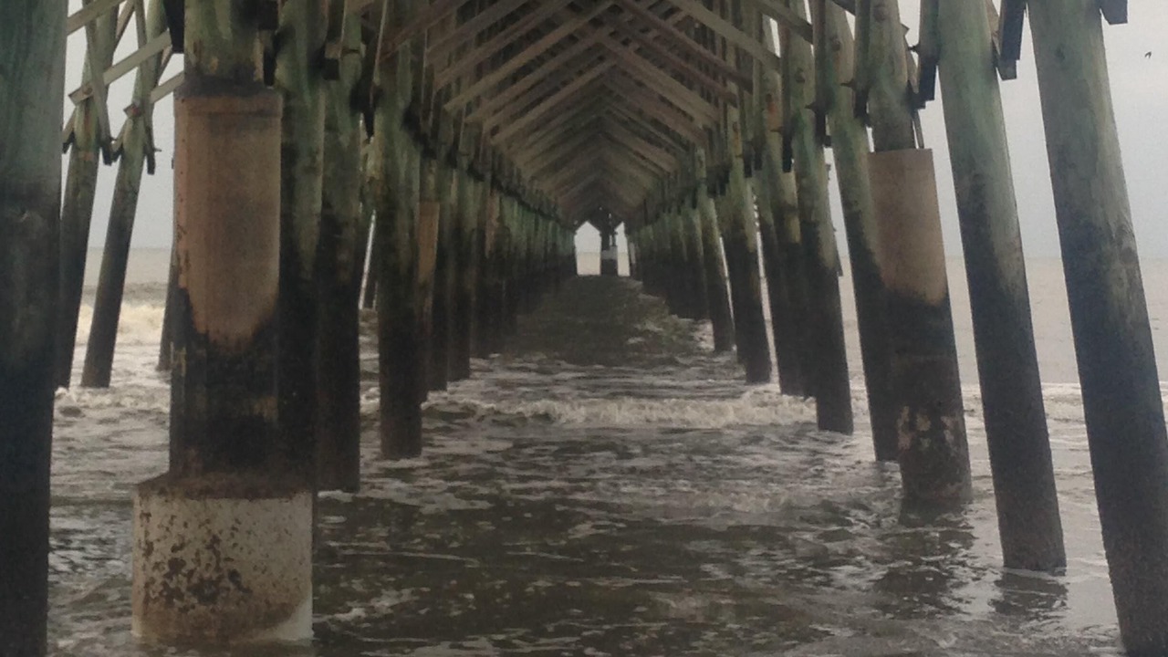 Photo of Outdoor in Folly Beach