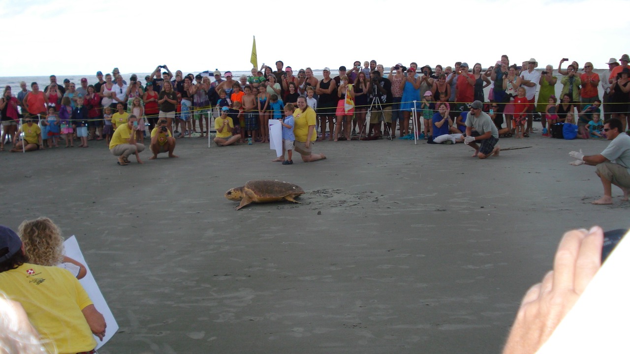 Photo of Others in Folly Beach