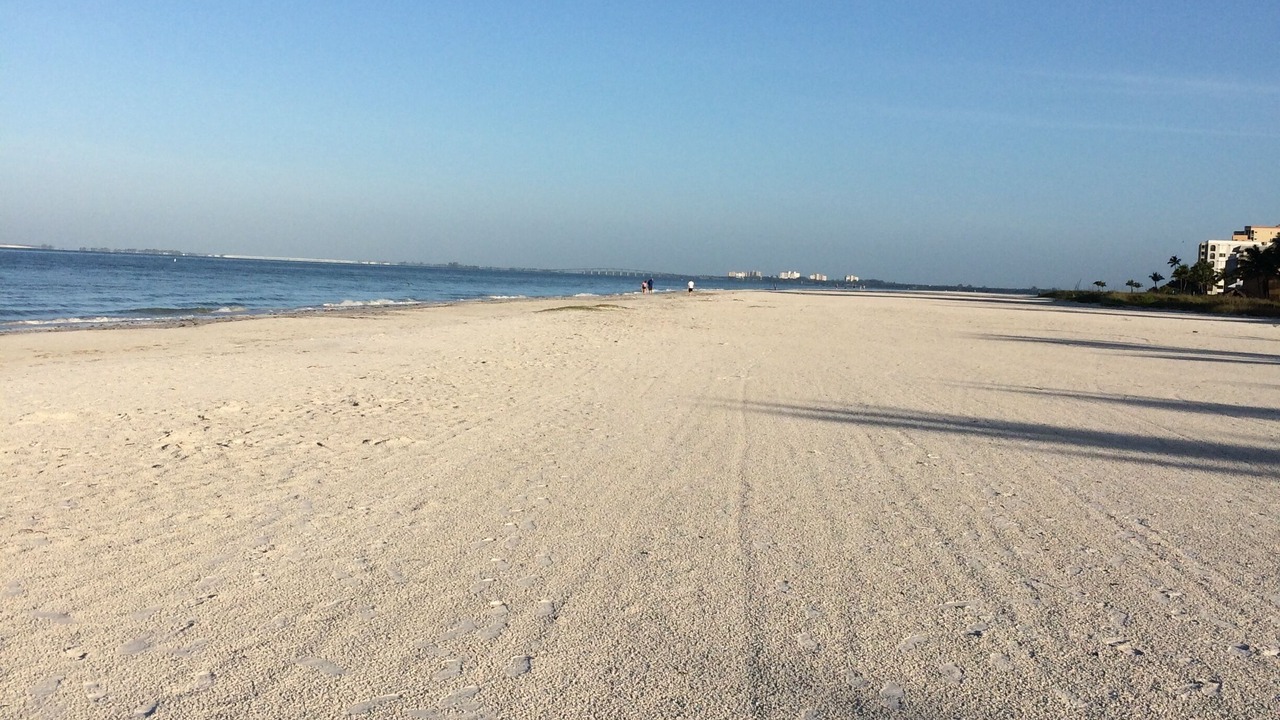 Photo of Others in Fort Myers Beach
