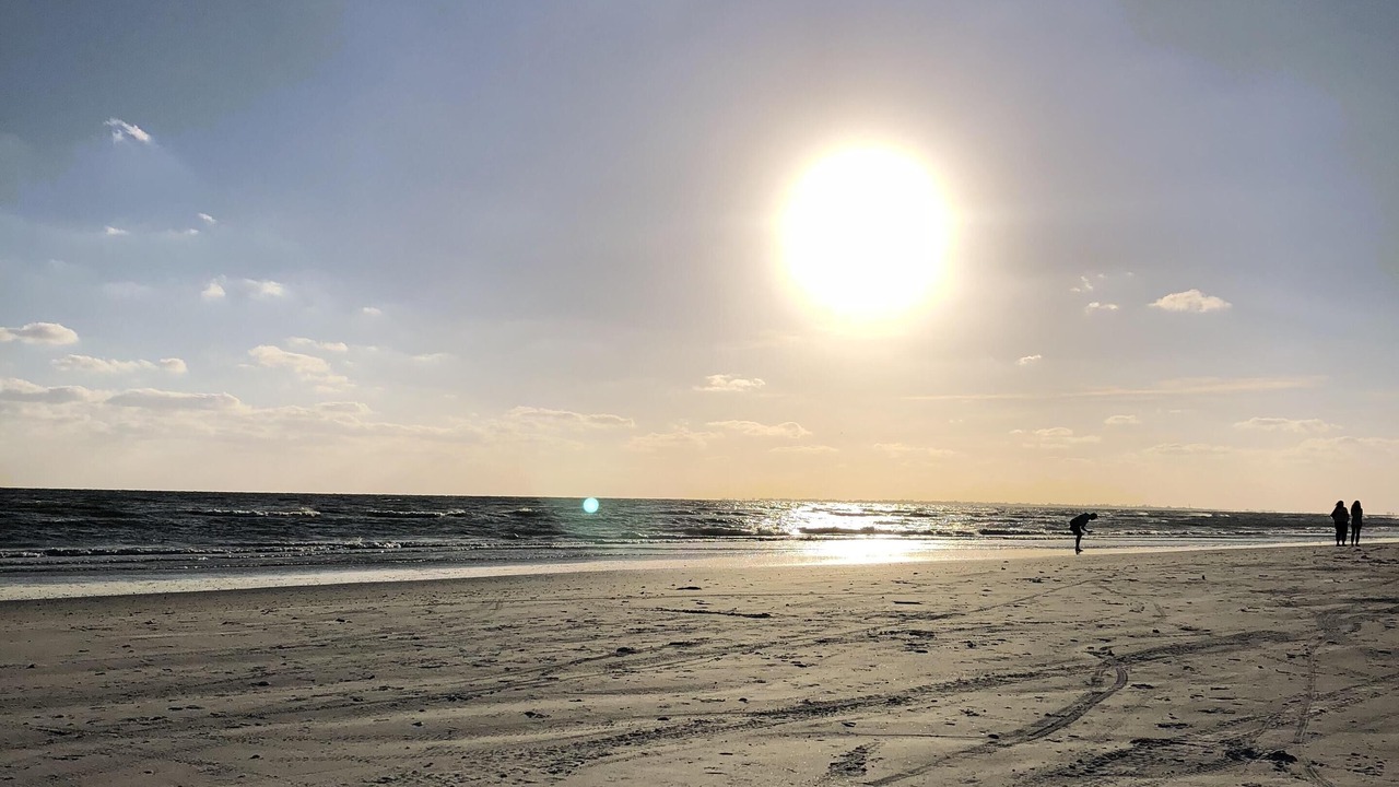 Photo of Others in Fort Myers Beach