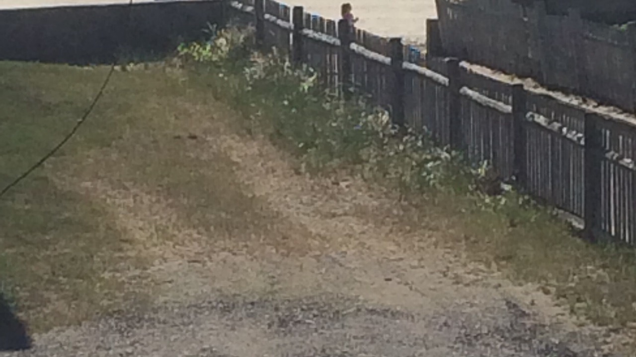 Photo of Others in Wells Beach