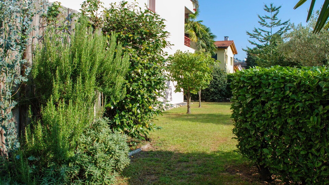 Photo of Others in Caslano