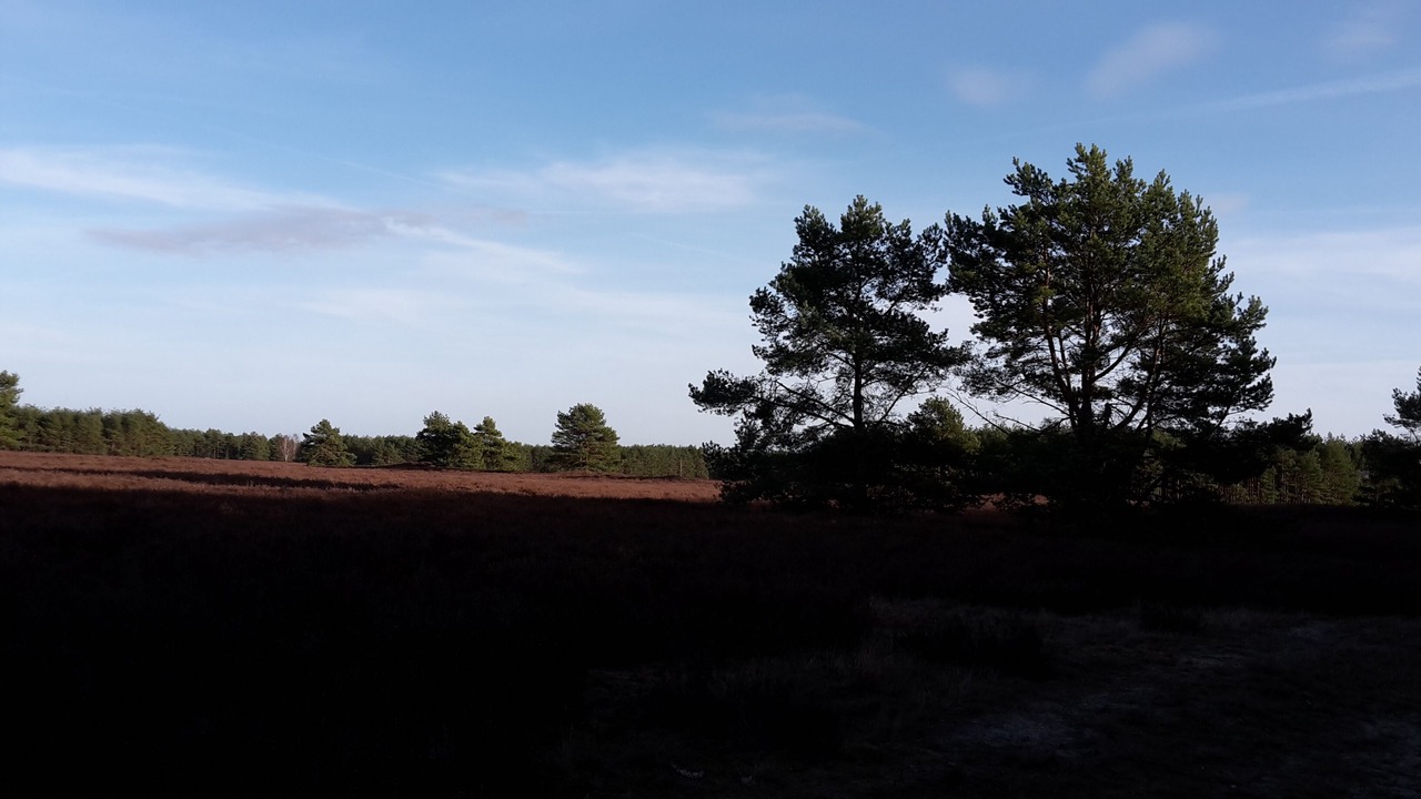 Photo of Outdoor in Gartow