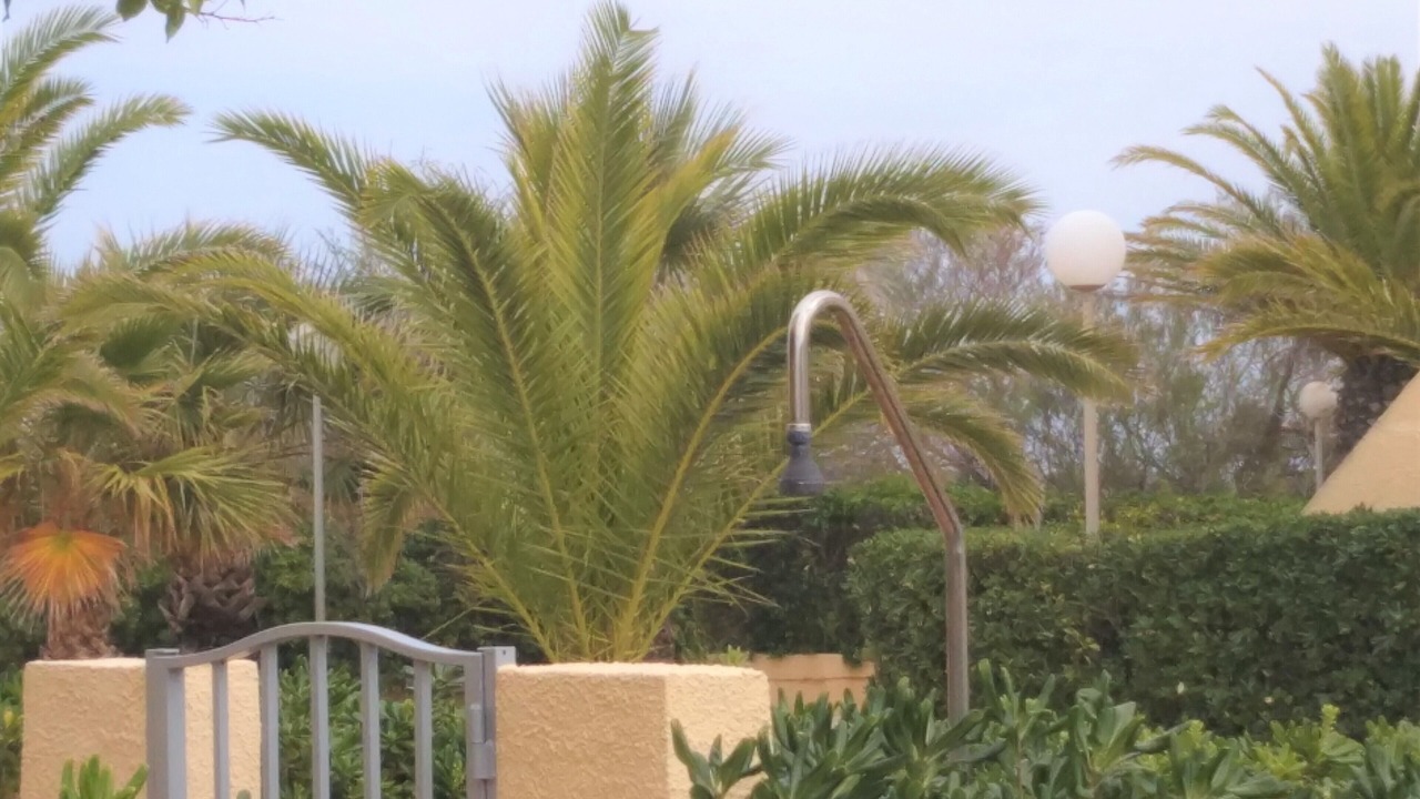 Photo of Outdoor in Oliva