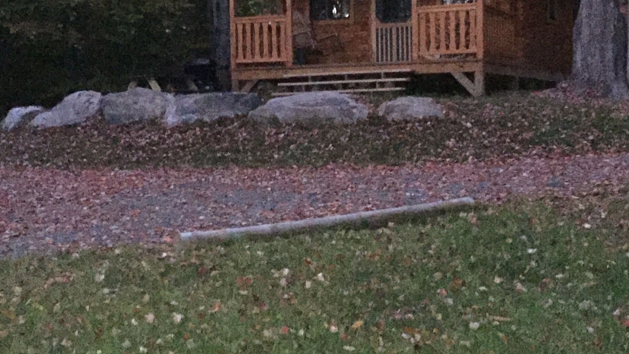 Photo of Outdoor in White Haven