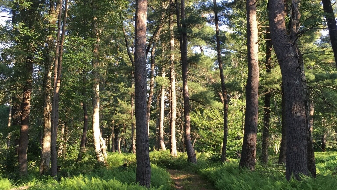 Photo of Outdoor in White Haven