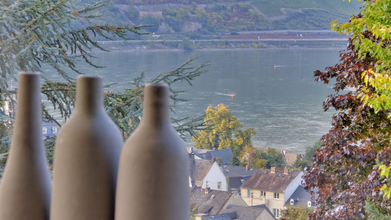 Photo of Others in Boppard