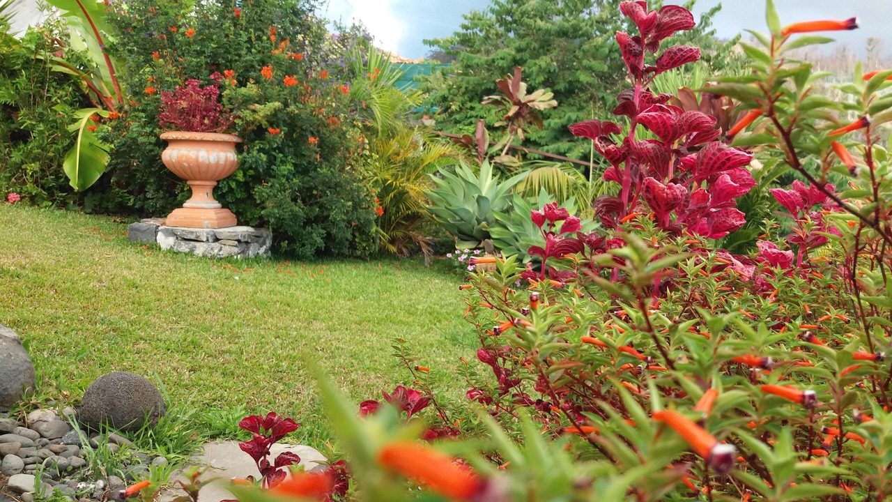 Photo of Outdoor in Estreito da Calheta