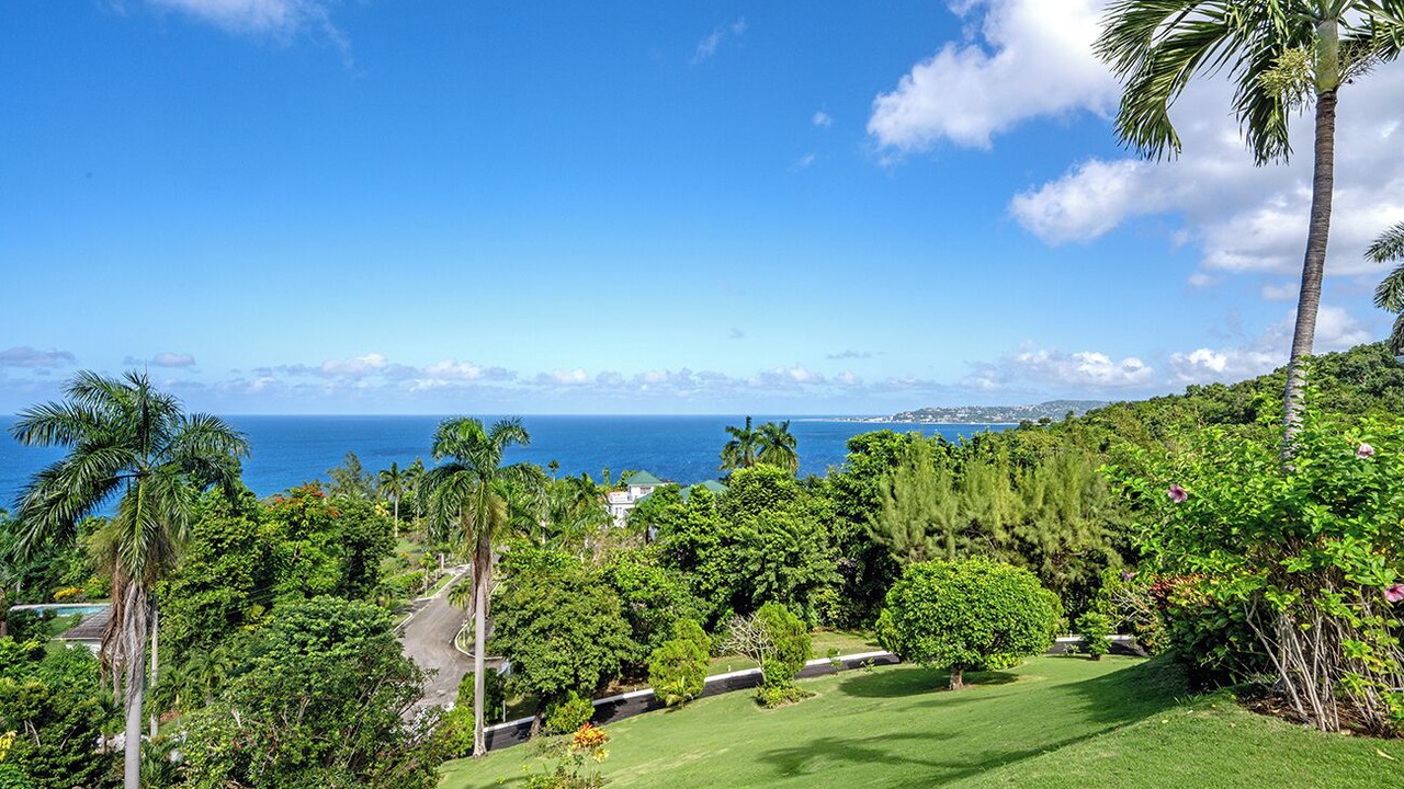 Photo of Others in Montego Bay