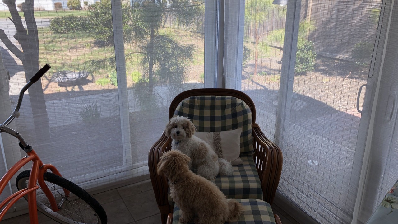Photo of Others in Dodds Addition