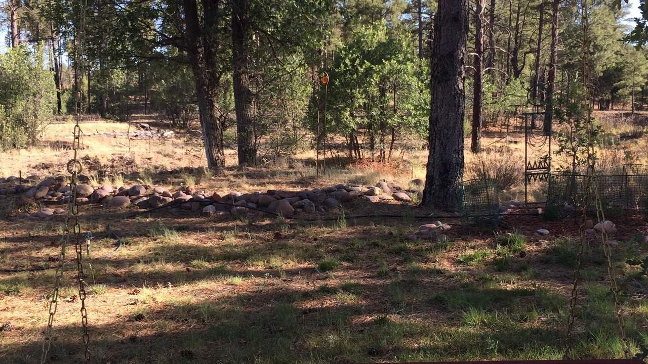 Photo of Others in Clay Springs