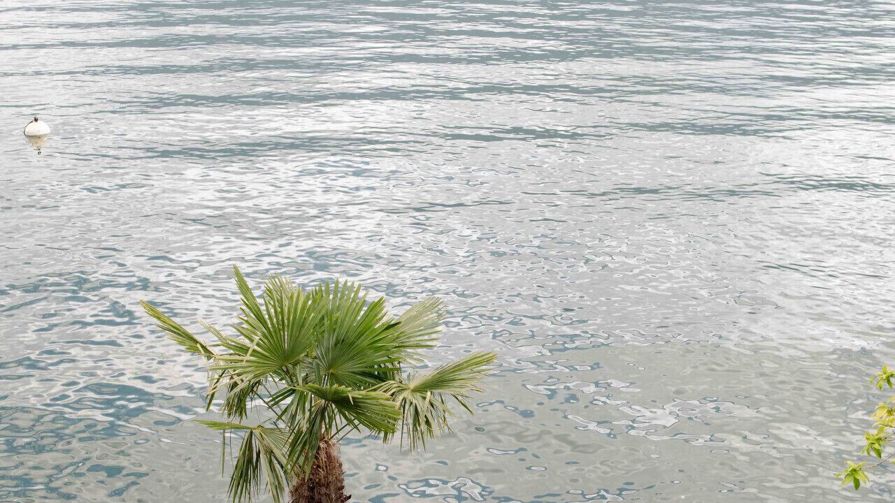 Photo of Outdoor in Brissago