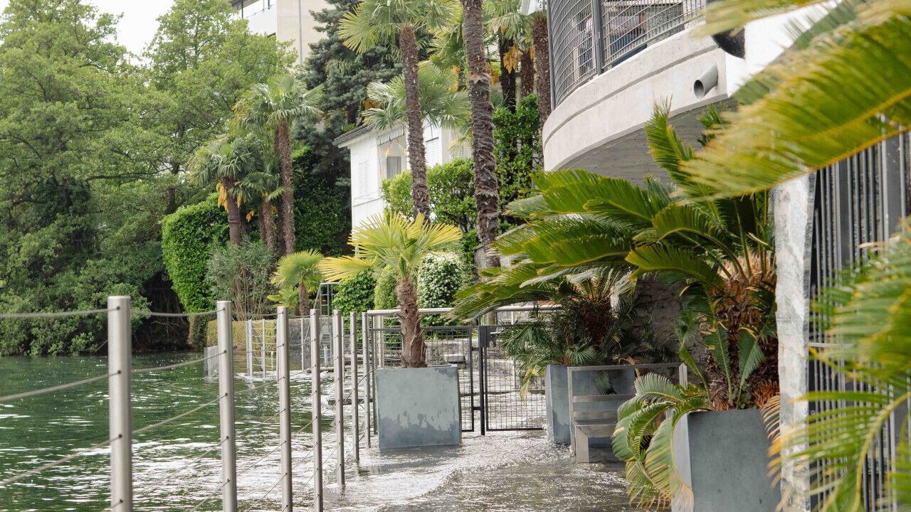 Photo of Outdoor in Brissago
