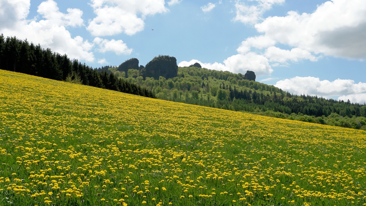 Photo of Outdoor in Olsberg