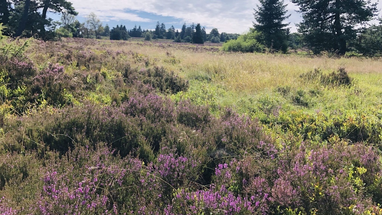 Photo of Outdoor in Olsberg