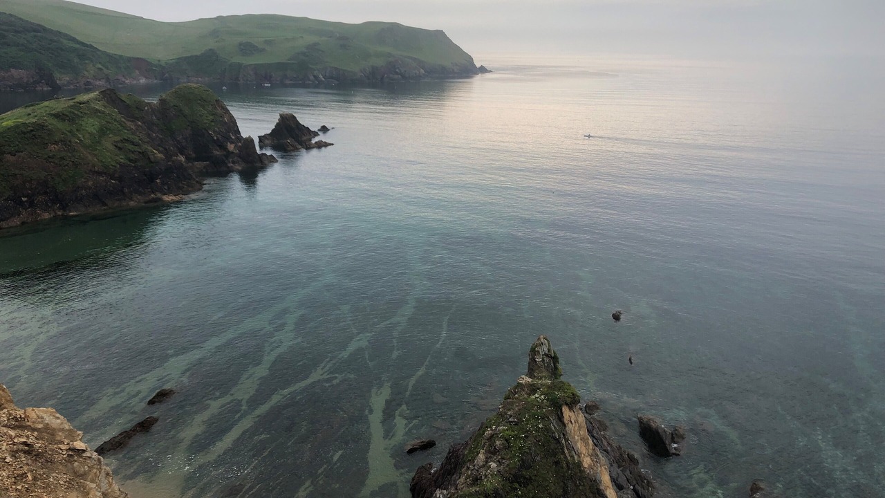 Photo of Outdoor in Hope-Cove