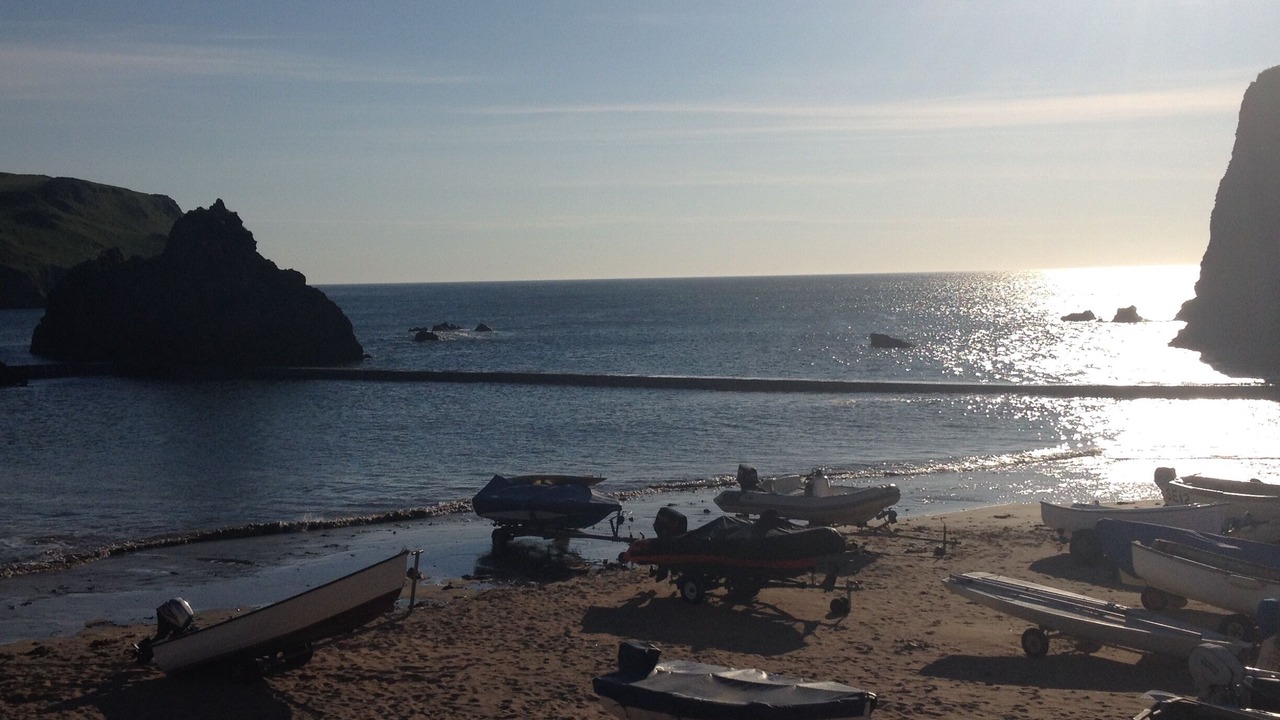 Photo of Others in Hope-Cove