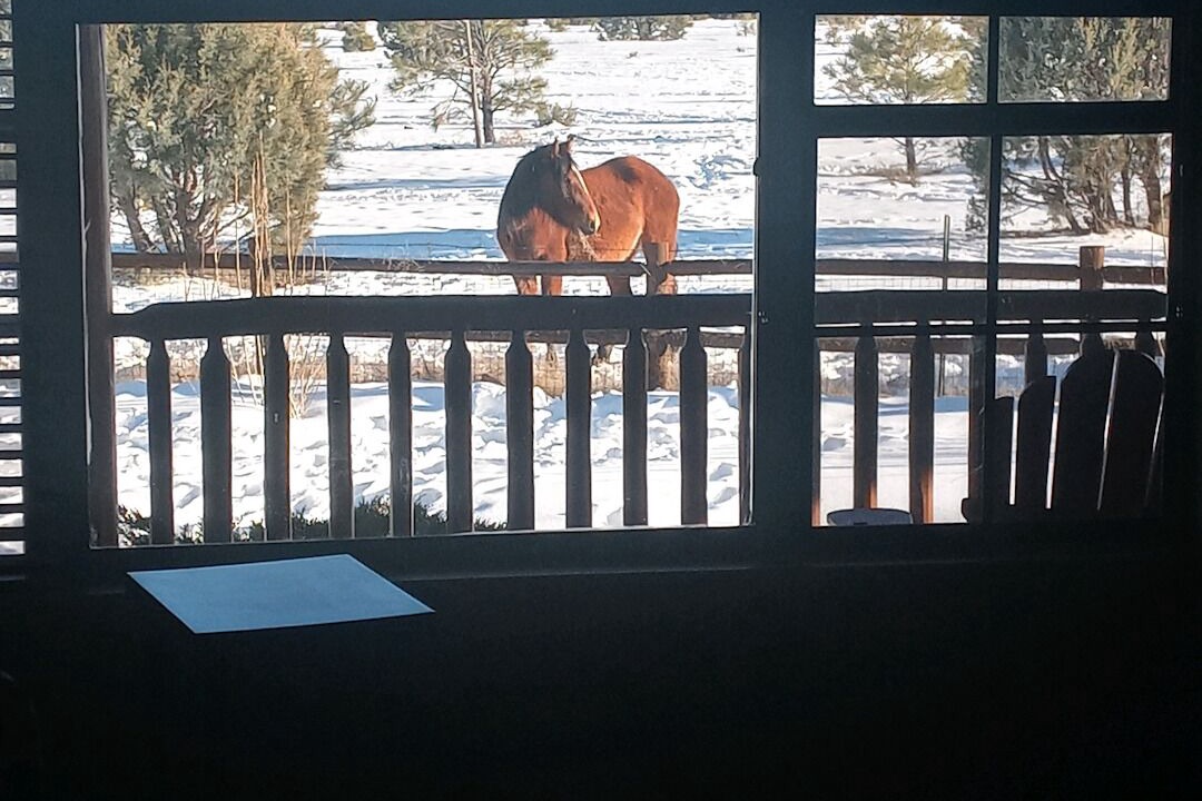 Photo of Others in Heber