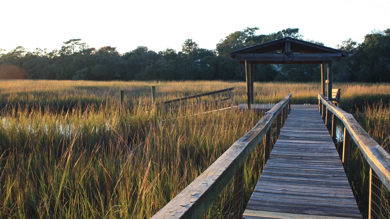 Photo of Outdoor in Mount Pleasant