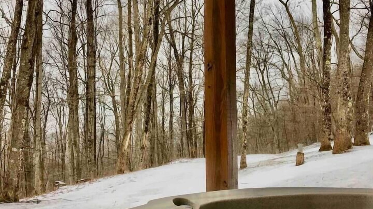 Photo of Others in Allegheny Mountains