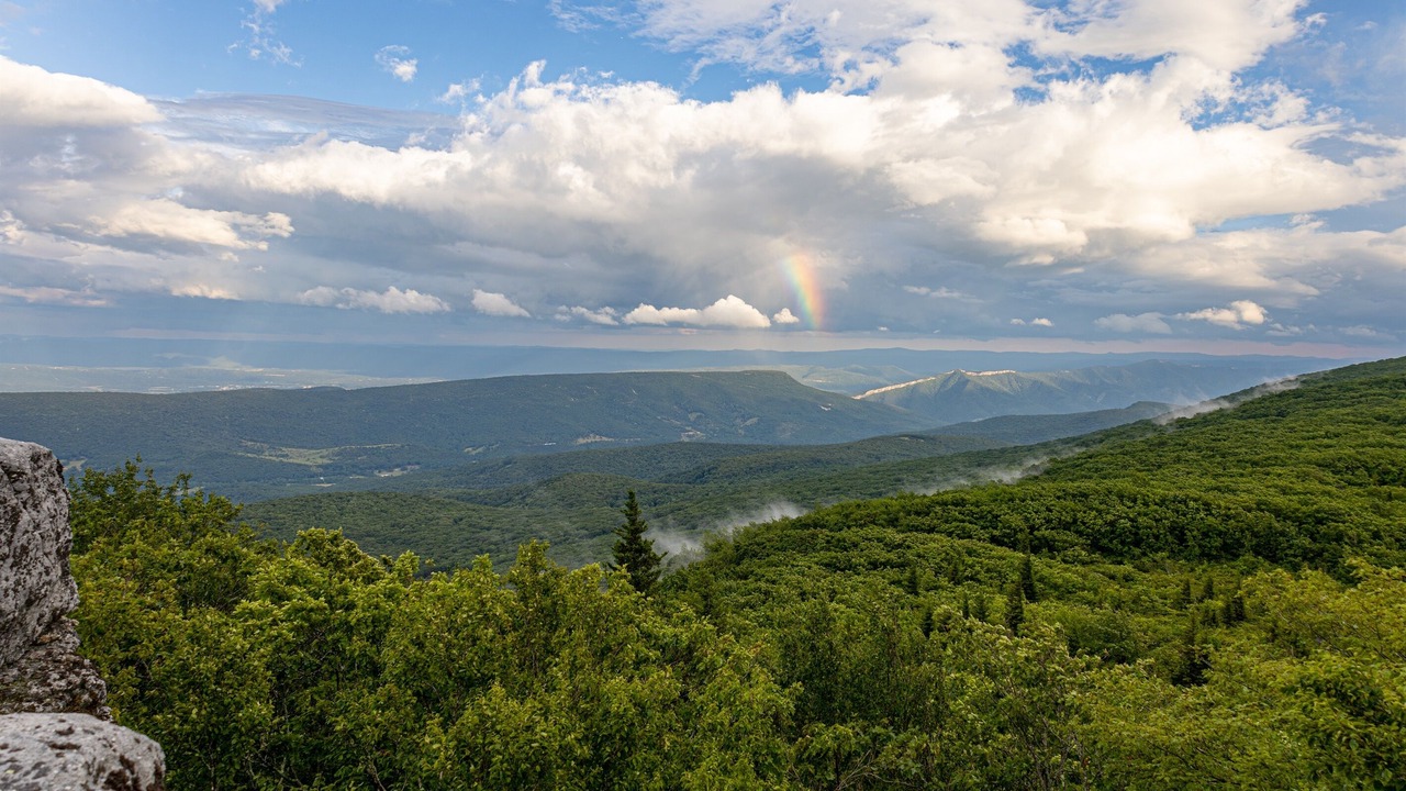 Photo of Others in Allegheny Mountains
