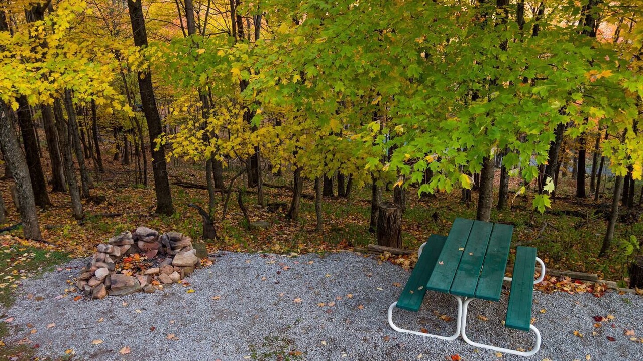 Photo of Others in Allegheny Mountains