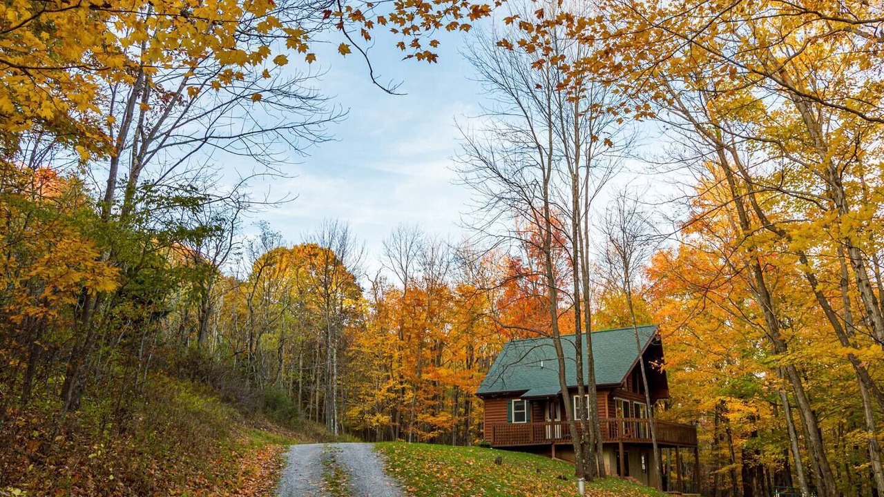 Photo of Others in Allegheny Mountains