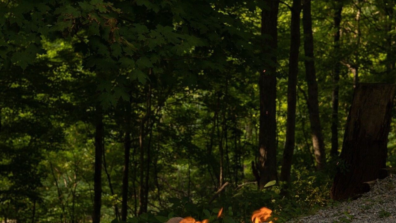 Photo of Others in Allegheny Mountains