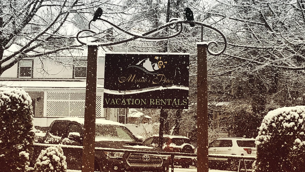 Photo of Outdoor in Nelson