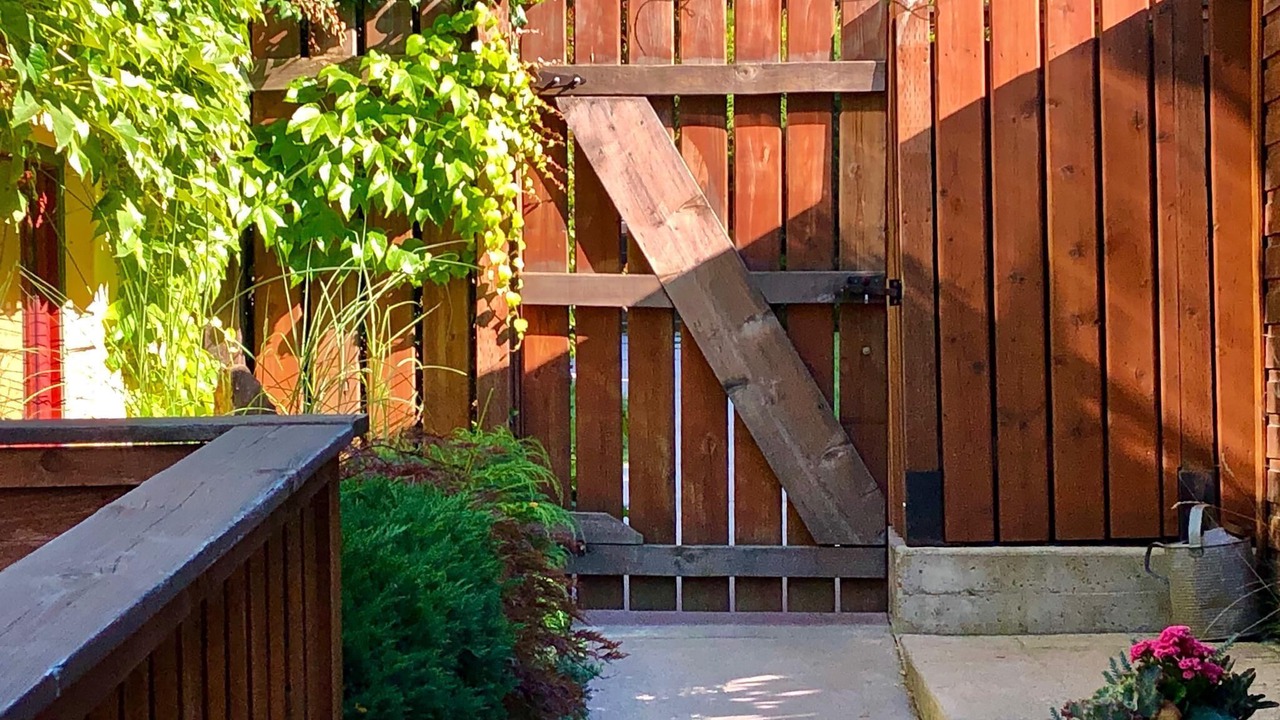 Photo of Outdoor in Nelson