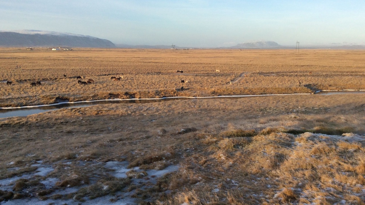 Photo of Others in Selfoss