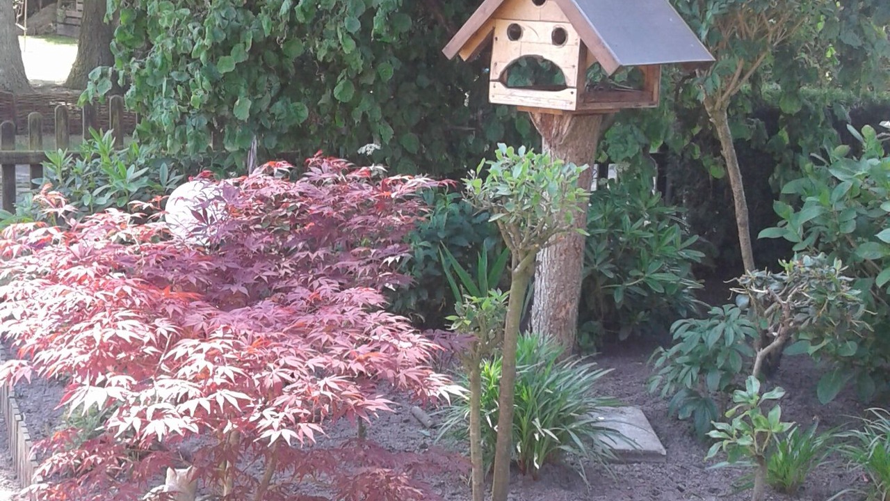 Photo of Outdoor in Wittmund
