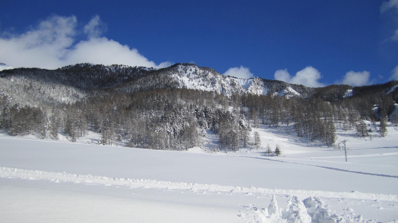 Photo of Others in Arvieux