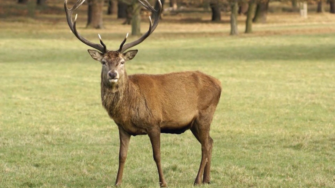 Photo of Outdoor in Fontainebleau